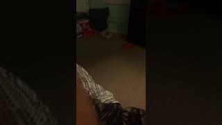 Power John 25 Get Sent To Hell Part Two