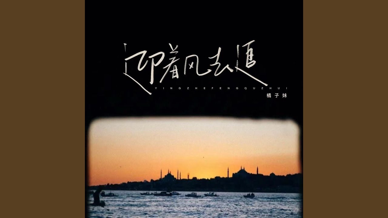 迎着风去追（爱的人追不回）