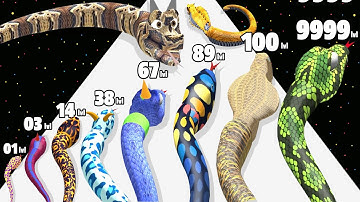 Merge Snake Evolve 3D - Level Up Snake Max Level Gameplay (Snake Evolution Run 3D)
