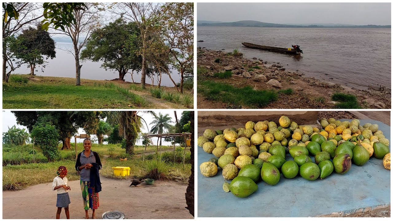 Découverte PROVINCE DE MAYI NDOMBE 2eme PARTIE FERME BOKAZEBI 138 Hectares