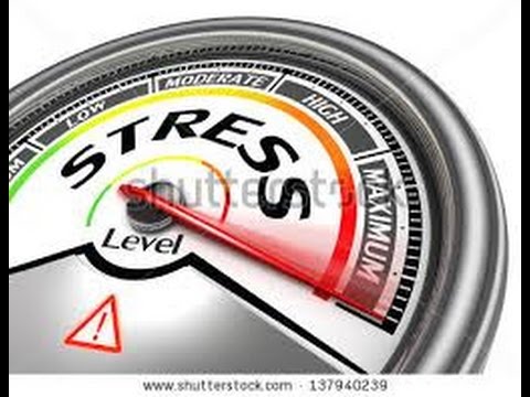 major field of study medicine Stress Management: ''Overcoming OVERTRAINING'' for gym rats and athletes