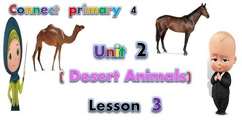 رابعة ابتدائي المنهج الجديد الدرس الثالث من الوحدة الثانية Connect 4 - unit 2 - lesson 3