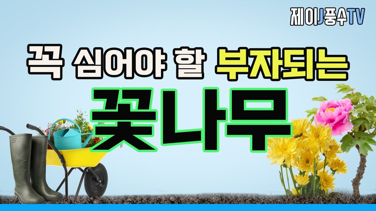 [풍수지리]우리 집 정원에 꼭 심어야 할 부자되는 꽃나무 - YouTube