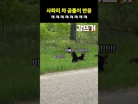우리가 더 무서워 thumbnail