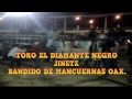 Rancho El Alebrije vs Los Niños De La Costa En Zumpango del Rio. (Feria Del &quot;Sr. Santiago&quot; 2013)