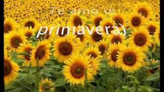 Primavera - Tim Maia