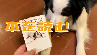 ボーダーコリーAnn、ワンコの書籍について語る退屈な動画ですみません。