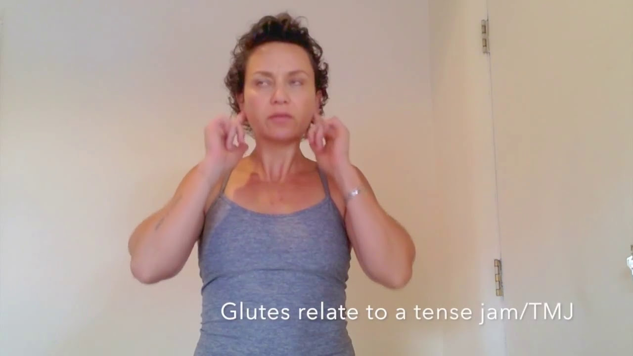 チャップマン反射　Chapman's Reflexes ハンドブック チャップマン反射 Chapman's Reflexes ハンドブック Amazon.co