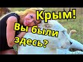 Ездили в КРЫМ? Были ЗДЕСЬ??? Парк львов ТАЙГАН