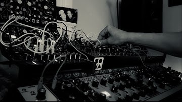 Otherworld // Soma Pulsar 23, Lyra 8, Make Noise Strega, Moog Matriarch