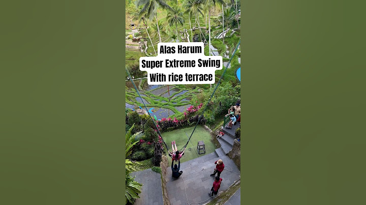 Alas Harum Famous Super Extreme Swing With Rice Terrace 😍❤️ #ubud #bali #baliswing
