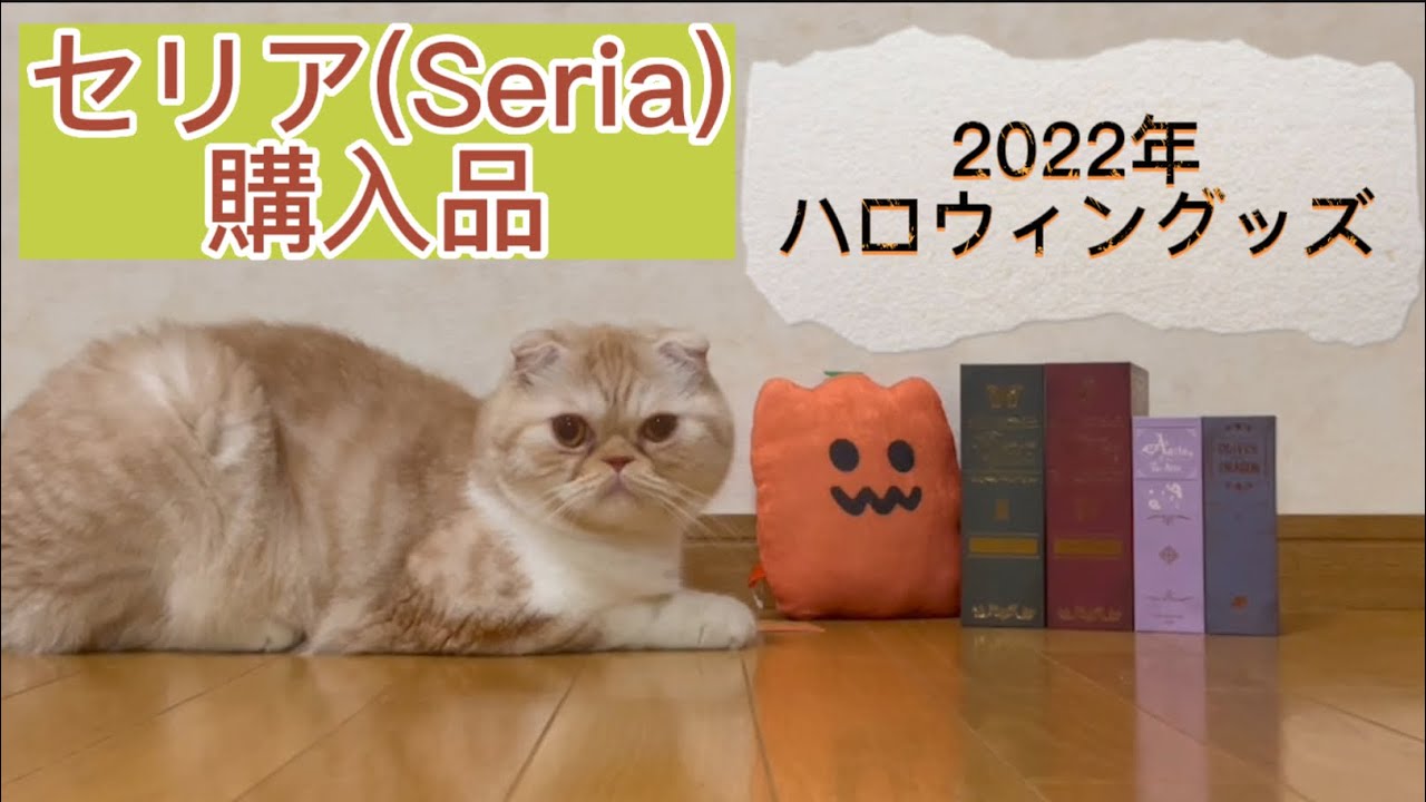 「こむすめの購入品」 セリア(Seria) 2022年 ハロウィングッズ - YouTube