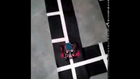 Grid Following Robot