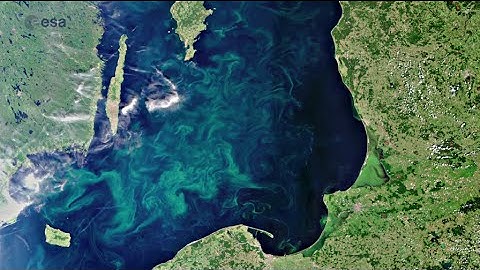 Why is it useful for satellites to study ocean colour? (Edited)