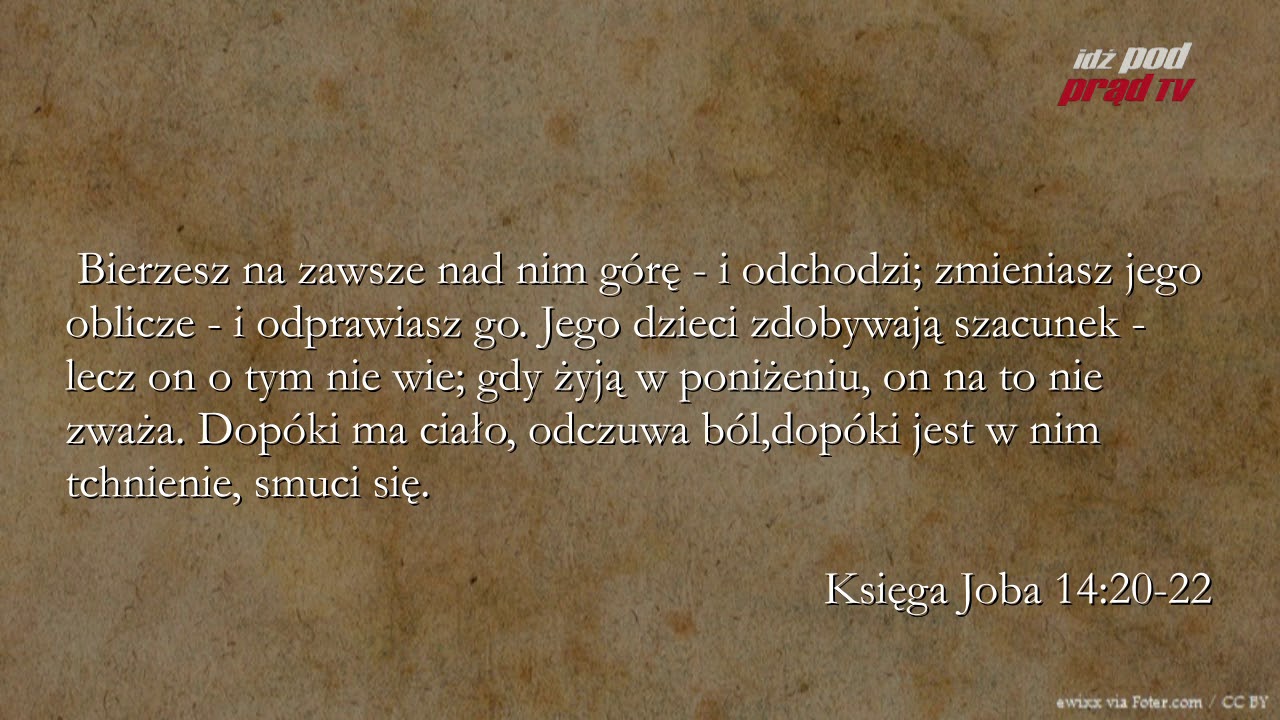 BIBLIA NA CO DZIEŃ: Księga Joba #14 episode artwork