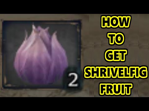 How To Grow Shrivelfig Fruit - Where To Buy Medium Pot Hogwarts Legacy How To Grow Shrivelfig Fruit - Where To Buy Medium Pot Hogwarts Legacy