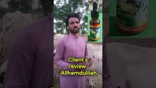 Janwar garmi kr ra hy ??? ik bar ya video zarur dakhen #animalcare #heatwave #treatment #animals