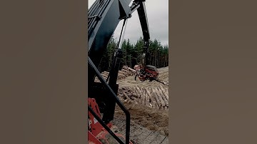 Madill 4000 with Waratah Processor