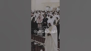 مَّنْ خَشِيَ الرَّحْمَٰنَ بِالْغَيْبِ وَجَاءَ بِقَلْبٍ مُّنِيبٍ .. تلاوة الشيخ علي الخذيفي