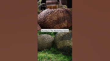 Thumbnail of Journey 2: The Mysterious Island kamera arkası #behindthescenes #movie #movies #greenscreen #vfx