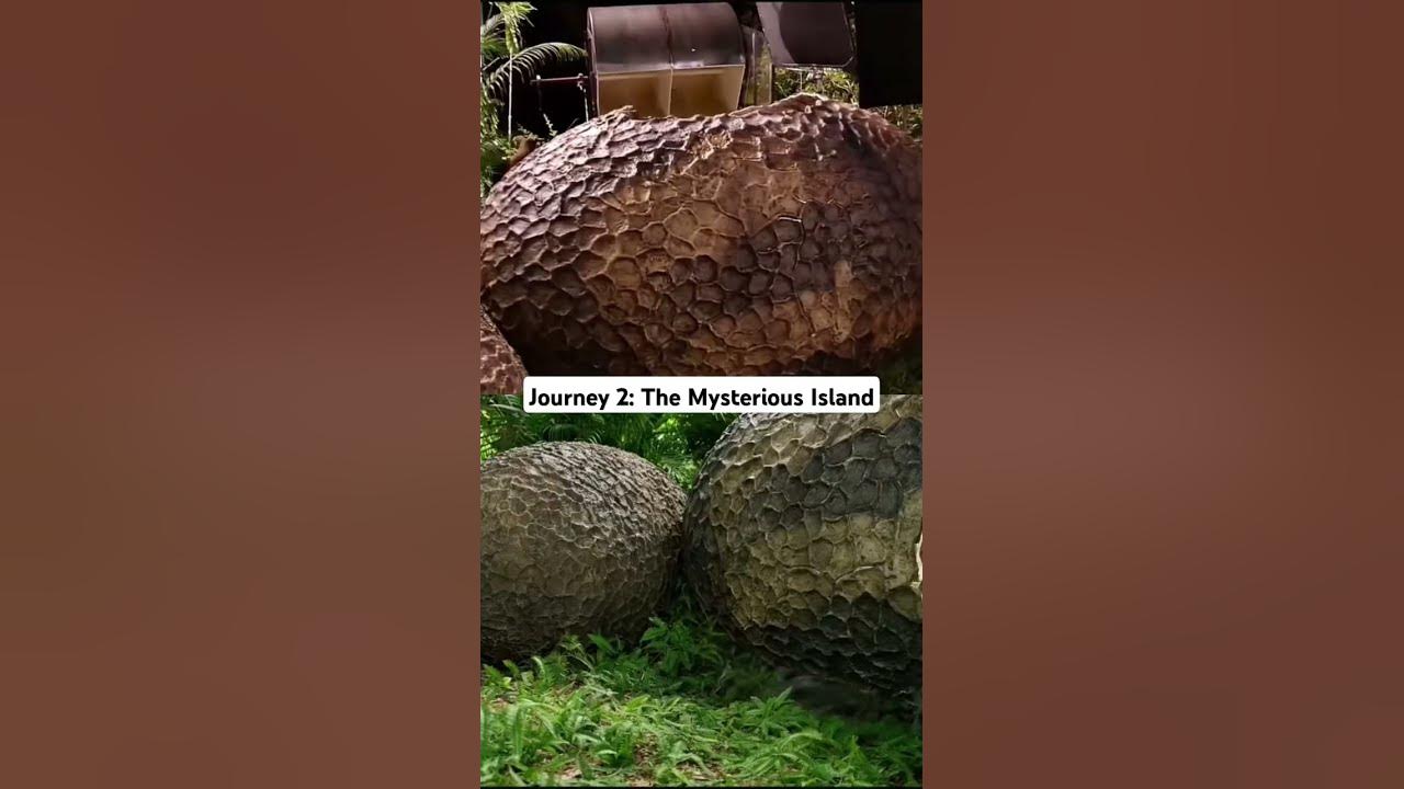 Journey 2: The Mysterious Island kamera arkası #behindthescenes #movie #movies #greenscreen #vfx