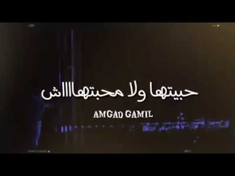 قالتلي قول حبتها ولا محبتهاش عمرو دياب
