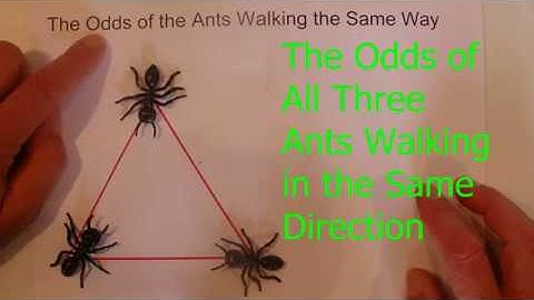 How to Solve the Ants &  the Triangle Probability Question - Step by Step Instructions - Tutorial