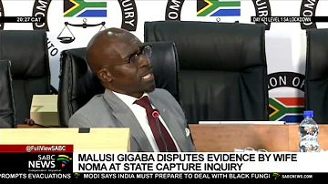 State Capture Inquiry | Malusi Gigaba disputes evidence given by estranged wife