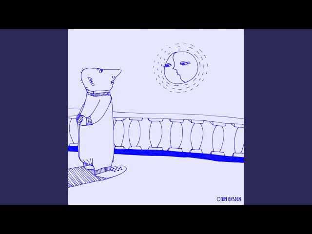 Schlichting - Written On The Body