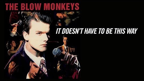 The Blow Monkeys —  It