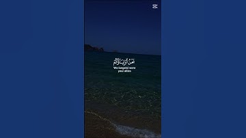 سورة فصلت الآية 30 - 31