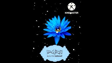 حالات واتس اب يوم الجمعه //القارئ: رعد الكردي //ستوريات انستا يوم الجمعه