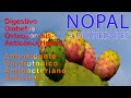 9 Propiedades del Nopal