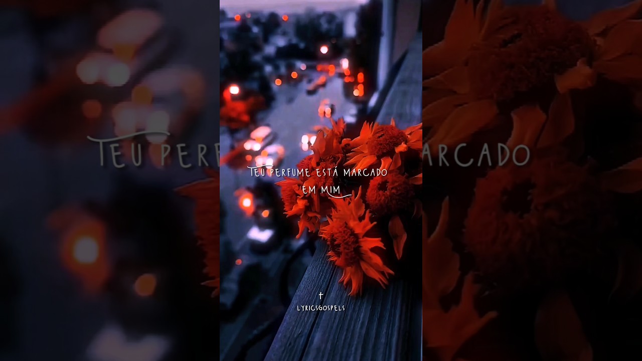 preview_player