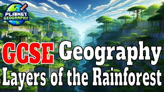 Layers of the Rainforest GCSE Geography