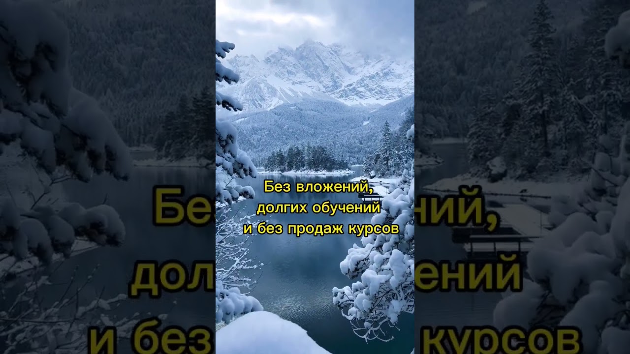 доход в проекте От 110 долларов до 1150 долларов 