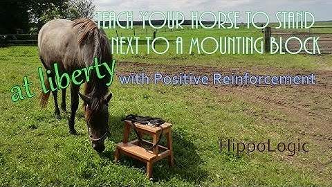 At liberty training:  lining up at the mounting block