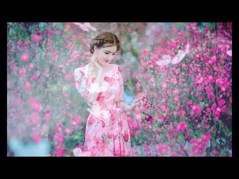 CUNG THƯƠNG NGÀY CŨ Sáng Tác NGUYỄN VĂN ĐÔNG Trình Bày Trần Tuấn Kiệt Ha Quốc Huy