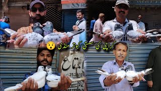 Kabootar Market Saddar Sunday Video Latest Update 19-5-2024 in Urdu/Hindi