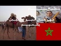 مهرجان الجمل كلميم باب الصحراء واد النون الصحراء المغربية 