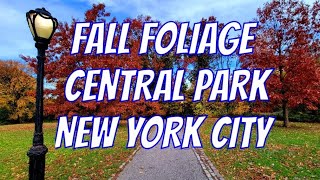 🍁 Live NYC Fall Foliage in Central Park Manhattan New York City November 14, 2021 🍁