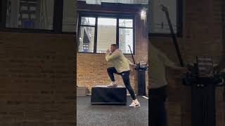 Lateral Step Up (Continuous)