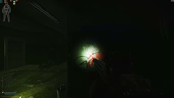 Escape From Tarkov Gun Reload Bug after clapping 4 chads