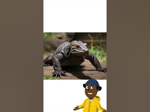 The Komodo Dragon's Saliva 🦎 #animation #facts #komododragon #ytshorts