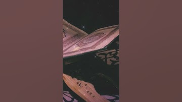 آيات من سورة الإسراء القارئ محسن الغازي