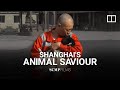 Shanghai’s animal saviour: helping strays in China is spiritual journey for Buddhist monk