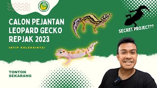 BONGKAR KOLEKSI CALON PEJANTAN REPJAK 2023