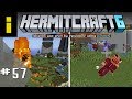 Minecraft HermitCraft S6 | Ep 57: Chaos!