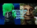 прохождение проклятье мудрого дерева