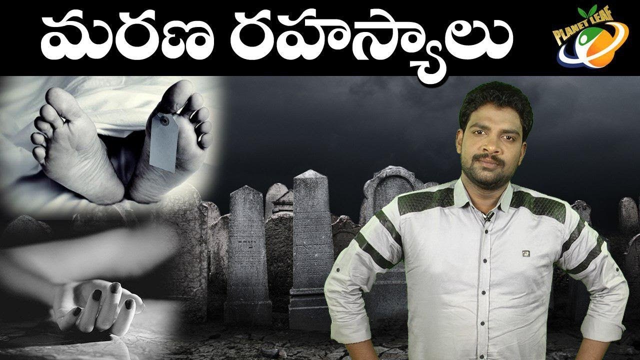 Death Secrets In The World | Facts About Death | With CC | Planet Leaf